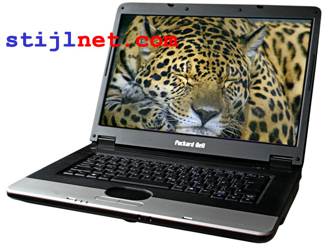 Digital Image of Laptop