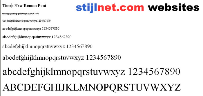 Times New Roman Font